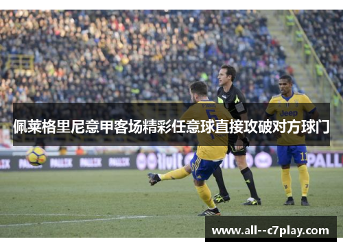 佩莱格里尼意甲客场精彩任意球直接攻破对方球门
