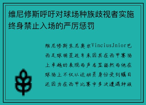维尼修斯呼吁对球场种族歧视者实施终身禁止入场的严厉惩罚